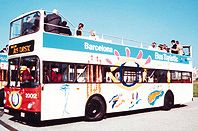 Linea 100