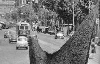Tranvia de la lnea 59 en el Paseo Nacional